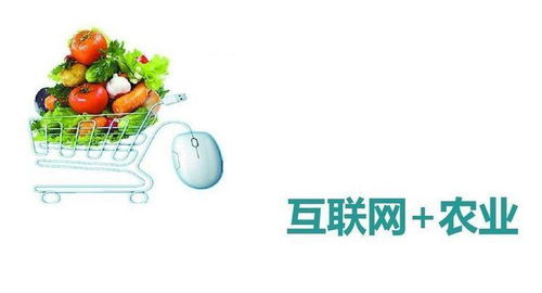 互聯(lián)網(wǎng)賦能農(nóng)業(yè) 產(chǎn)銷新生態(tài)與未來展望